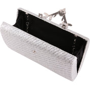 Geanta clutch de seara pentru dama, eleganta, din rafie Paula Rossi AD-22215