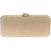 Geanta clutch pentru dama, eleganta cu sclipici, esHermosa, Paula Rossi AD-22230