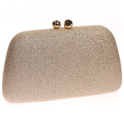 Geanta Clutch pentru dama eleganta, din stofa stralucitoare, Paula Rossi AD-41388