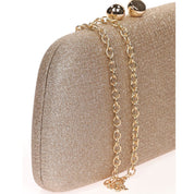 Geanta Clutch pentru dama eleganta, din stofa stralucitoare, Paula Rossi AD-41388